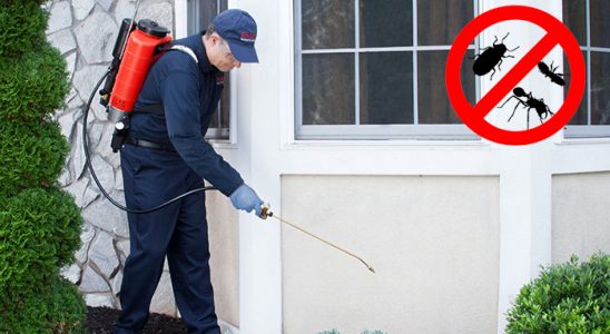 Köse Haşere İlaçlama böcek ilaçlama ve haşere kontrolü — ilaclama-tr.com